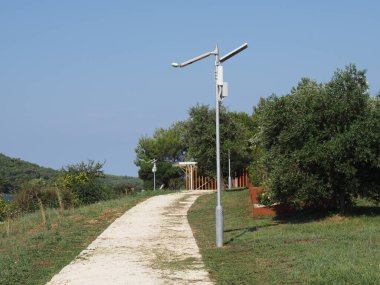 Cleaning up mowed grass on the lawn