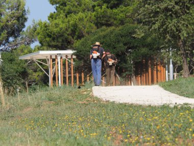 Cleaning up mowed grass on the lawn