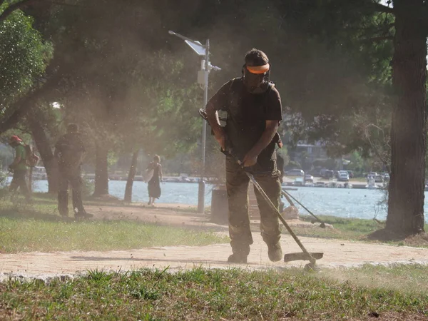 A lawnmower with a hand powered lawnmower mows the grass on the lawn in the park