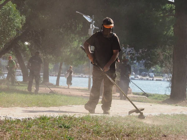 A lawnmower with a hand powered lawnmower mows the grass on the lawn in the park