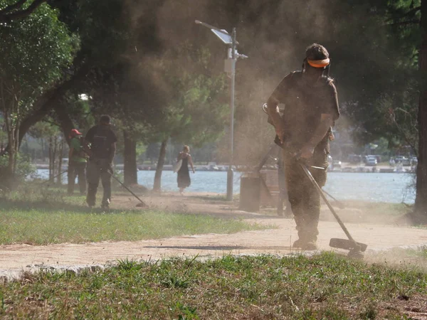 A lawnmower with a hand powered lawnmower mows the grass on the lawn in the park
