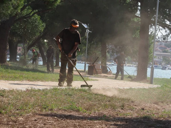 A lawnmower with a hand powered lawnmower mows the grass on the lawn in the park