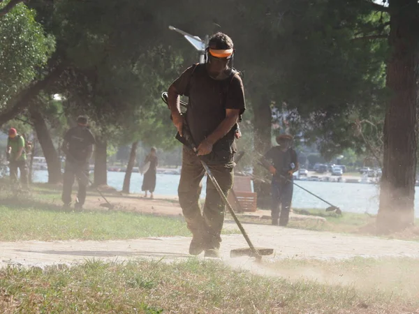 A lawnmower with a hand powered lawnmower mows the grass on the lawn in the park