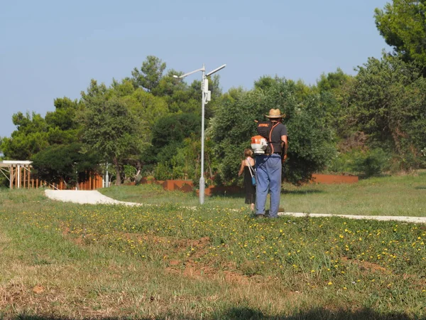 A lawnmower with a hand powered lawnmower mows the grass on the lawn in the park