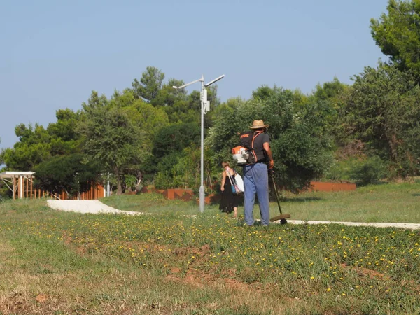 A lawnmower with a hand powered lawnmower mows the grass on the lawn in the park