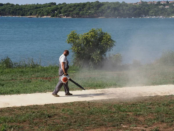 Cleaning up mowed grass on the lawn