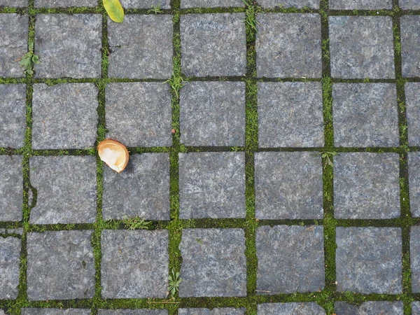 Gevallen Bladeren Granieten Stoep — Stockfoto