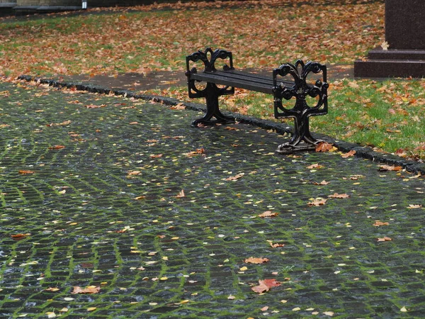 Eine Parkbank Regen Herbstlichen Stadtpark — Stockfoto