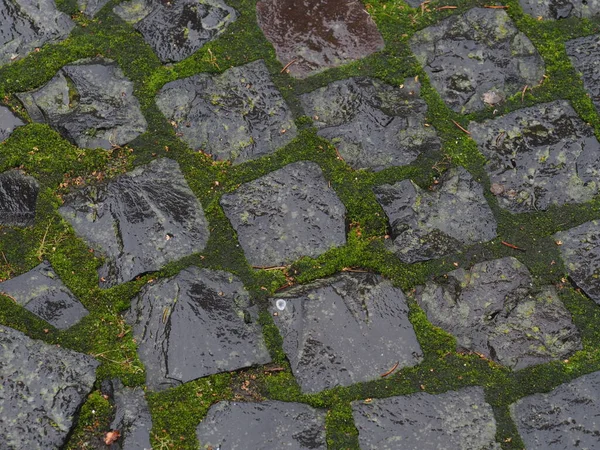 Textura Pedras Pavimentação Velhas Molhadas Cobertas Com Musgo Verde Após — Fotografia de Stock