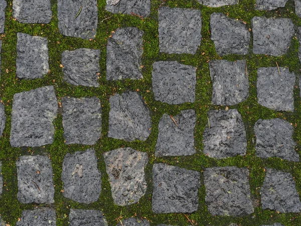 Textura Pedras Pavimentação Velhas Molhadas Cobertas Com Musgo Verde Após — Fotografia de Stock