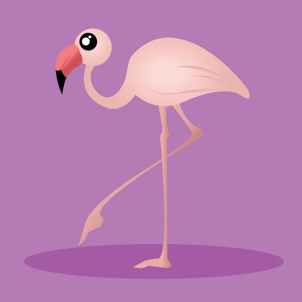 Flamingo Ordförande — Stock vektor