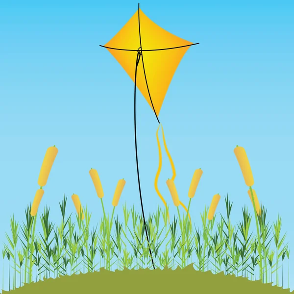 Kite — Stock Vector