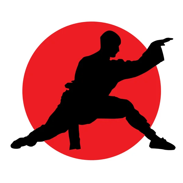 Artes marciales — Archivo Imágenes Vectoriales