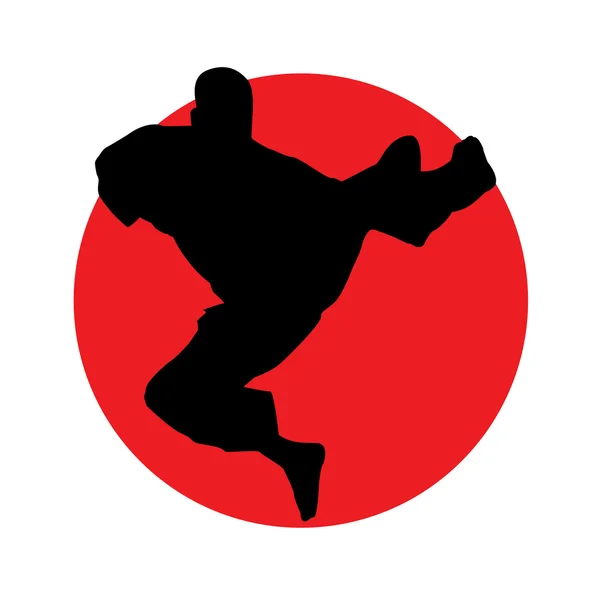 Artes marciales — Vector de stock