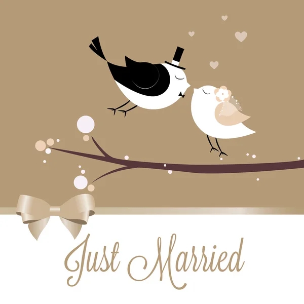 Just married birds — Stock Vector