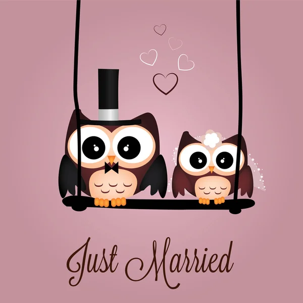 Just married owls — Stock Vector