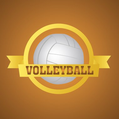 Voleybol