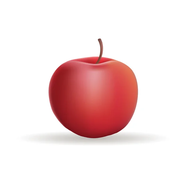 Manzana — Vector de stock