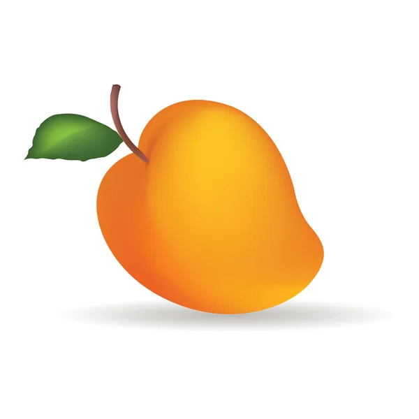 Mango. — Vector de stock