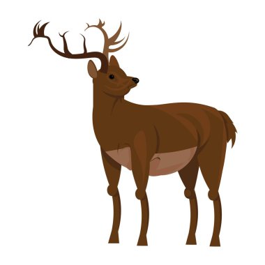 Zarif bir geyik. vektör illüstrasyonu.