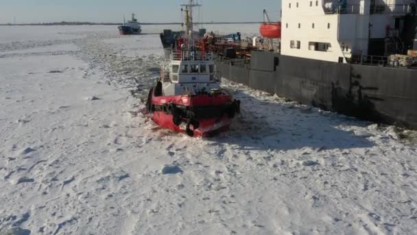 Arkhangelsk Russia March 2021 Tug Boat Goes Ice — Stock Video