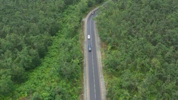 汽车沿着大路在森林和田野之间行驶 — 图库视频影像