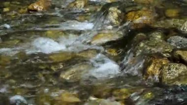 Köpüklü bir su deresi ve bir dağ nehrinin kayalık dibi..