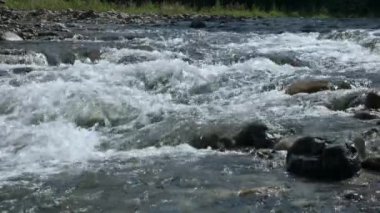 Ormandaki Dağ Nehri Deresi.