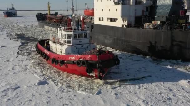 Arkhangelsk Russia March 2021 Tug Boat Goes Ice — Stock Video