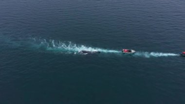 Lavrentiia, Chukotski bölgesi, Rusya - 11 Ekim 2021: Öldürülen balinanın yerlileri.