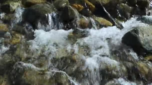 Proud Vody Pěnou Skalnatým Dnem Horské Řeky — Stock video