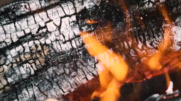 Der Nacht Brennt Ein Lagerfeuer Das Brennholz Brennt — Stockvideo