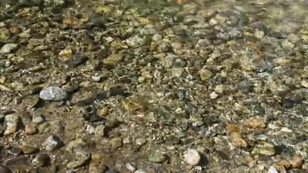 Fluxo Água Através Qual Fundo Pedregoso Rio Visível — Vídeo de Stock