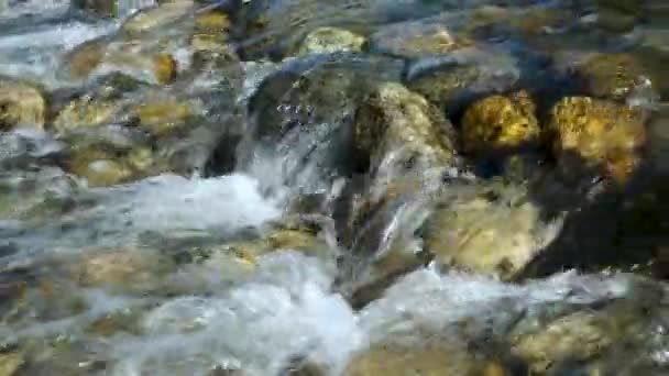 Stream Water Foam Rocky Bottom Mountain River — Stock Video