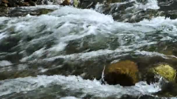 Strömmen Vatten Och Stenig Botten Floden — Stockvideo