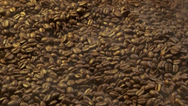 焙煎したフレッシュコーヒーから芳香の煙が放出されます 手が滑らかになり 木製のへらでコーヒー豆を注ぐ — ストック動画