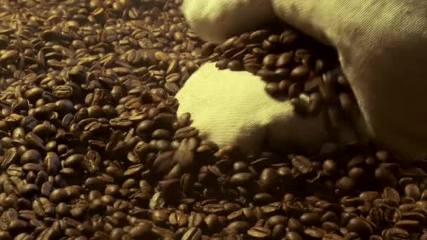 Een hand in een handschoen gladstrijkt en schenkt koffiebonen. — Stockvideo