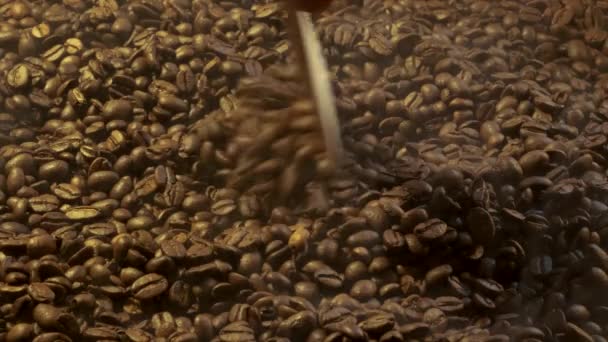 Uma mão suaviza e derrama grãos de café com uma espátula de madeira. — Vídeo de Stock