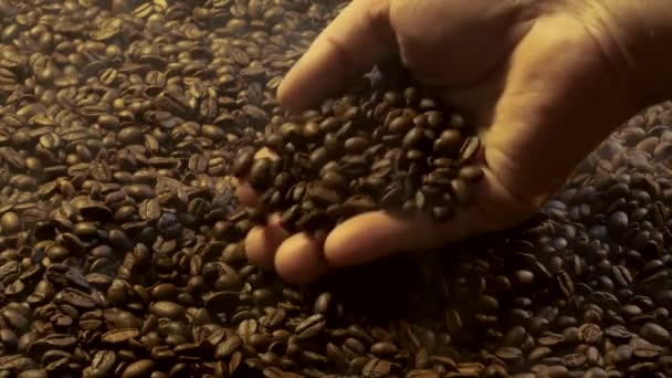 Mão suaviza e derrama os grãos de café. — Vídeo de Stock