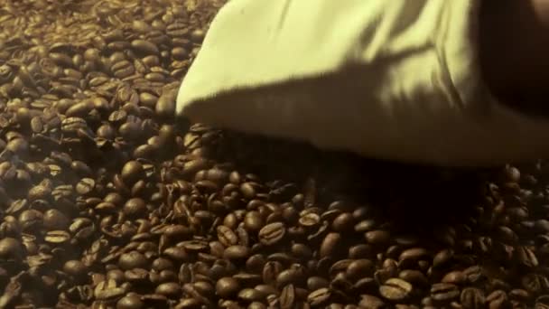 Egy kéz a kesztyűben simogatja és kávébabot tölt.. — Stock videók