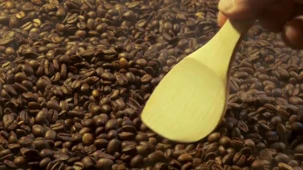 Una mano leviga e versa i chicchi di caffè con una spatola di legno. — Video Stock
