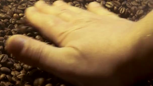 Hand slätar ut och häller kaffebönorna. — Stockvideo