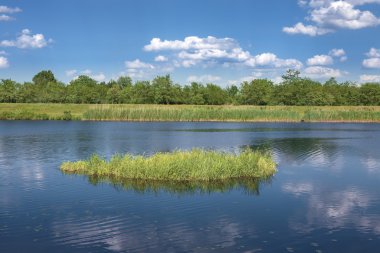 bir adacık nehir kanalda yüzen