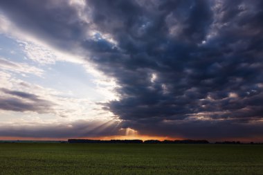 Güneş ışınları yukarıda sabah tarım alanları.