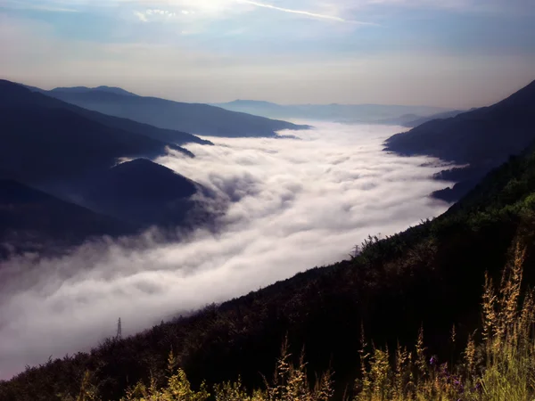 Brouillard dans le canyon de la rivière . — Photo