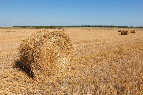 Landscape with haystack and blue sky — Stock Photo, Image