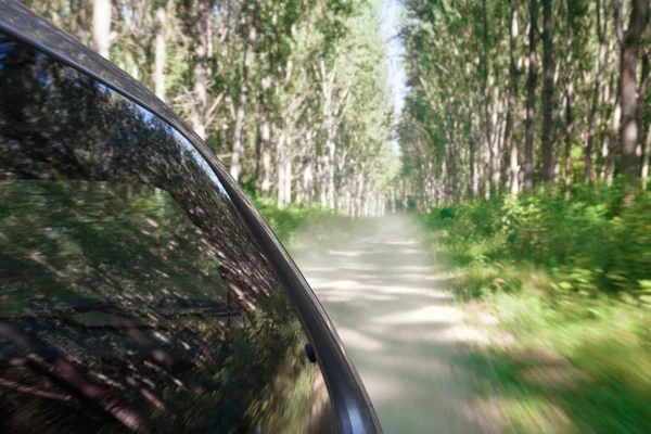 Prędkość jazdy na polnej drodze przez Las — Zdjęcie stockowe