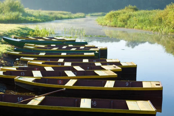 Десять лодок, стоящих на якоре на берегу пруда — стоковое фото