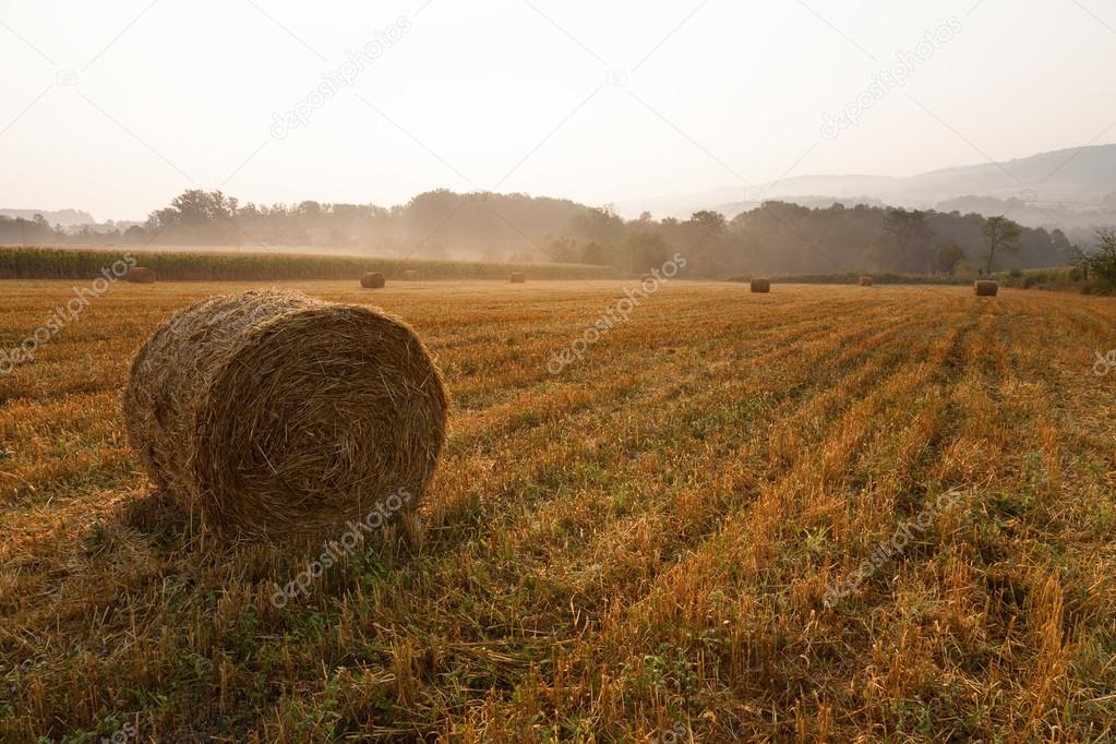 Landscape with haystacks at misty morning