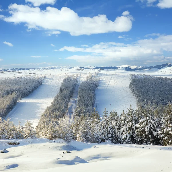 Ski slopes in the ski center — Stock Photo, Image